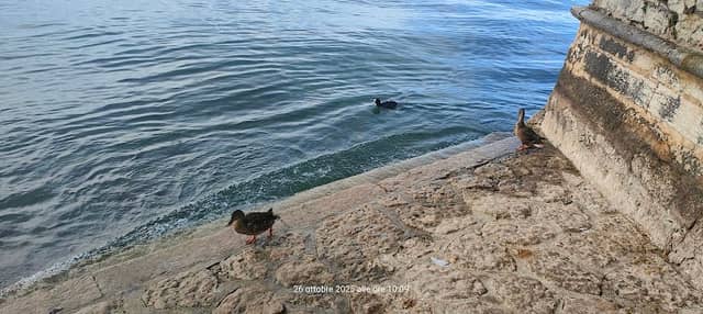 View Point Lake Garda - Image 2