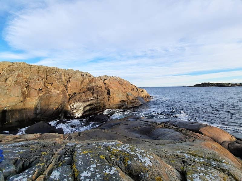 Bøkeskogen Naturreservat ved Søm - Image 2