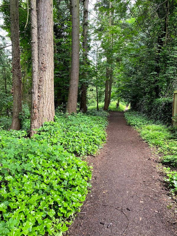 Kingsgate Park - Image 1