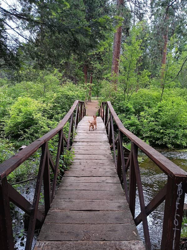Mount Shasta City Park - Image 2