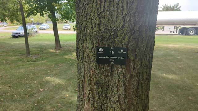 Village Arboretum - Image 1