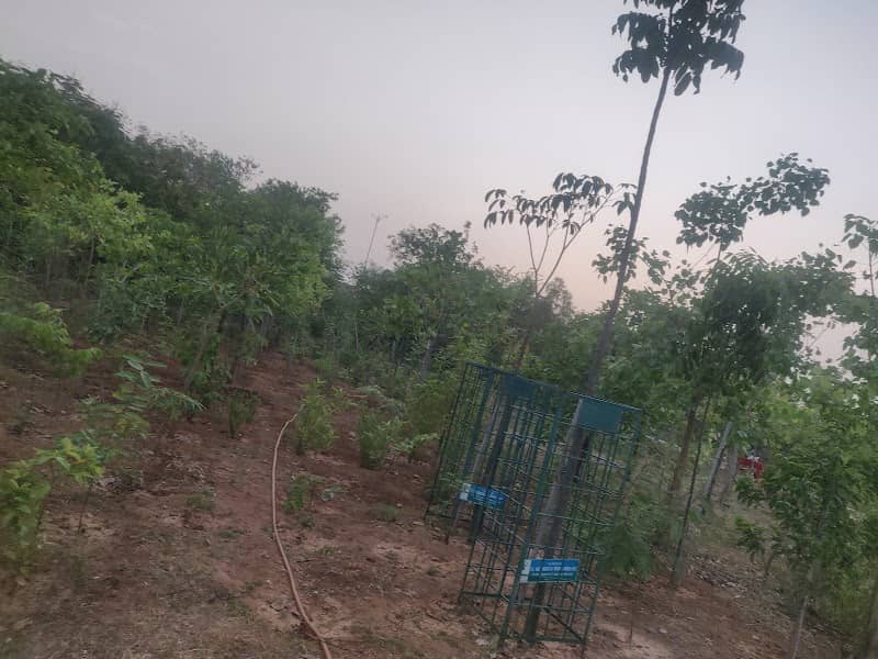 Haritha Haram Urban Lung space - Image 1