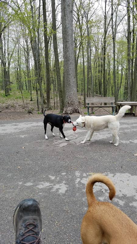 Brown County Dog Park - Image 1