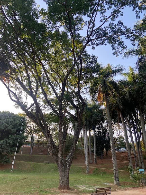 Parque Martin Luther King - Image 1