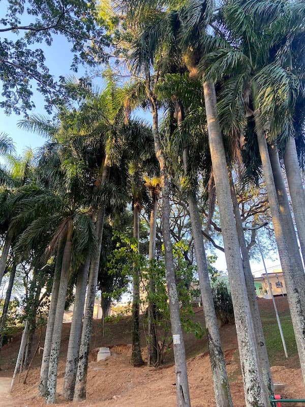 Parque Martin Luther King - Image 2