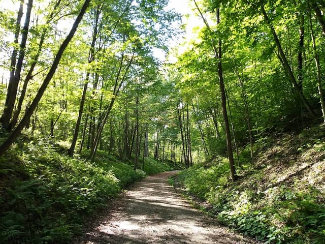 Clarion-Little Toby Trail Parking - Image 1