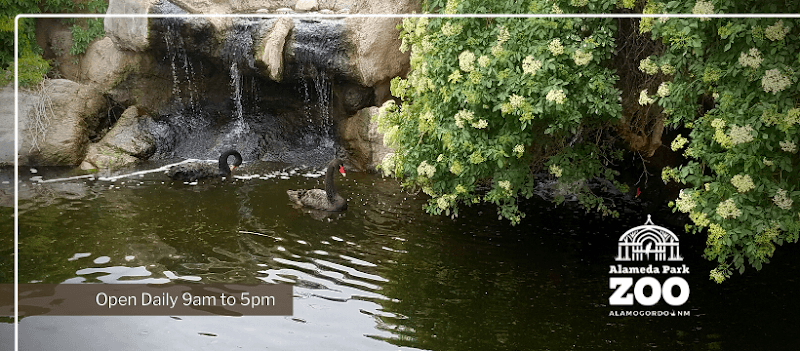 Alameda Park Zoo - Image 1