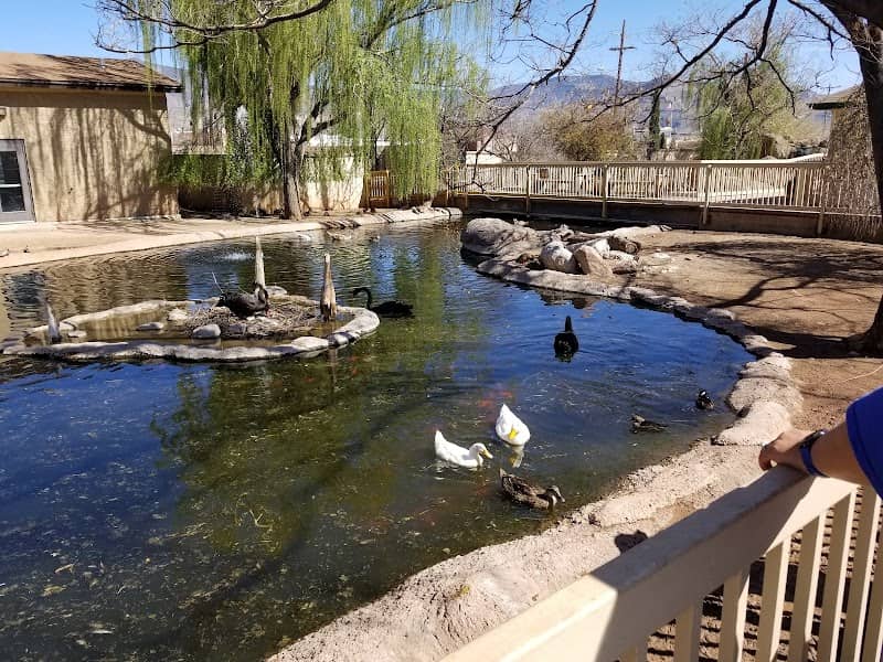 Alameda Park Zoo - Image 2