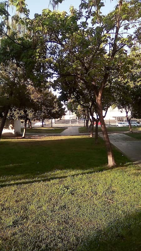 Plaza Parque De La Luz - Image 2