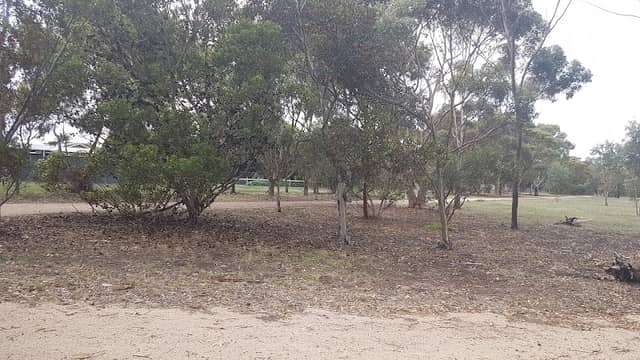 Imperial Way Bush Reserve - Image 1