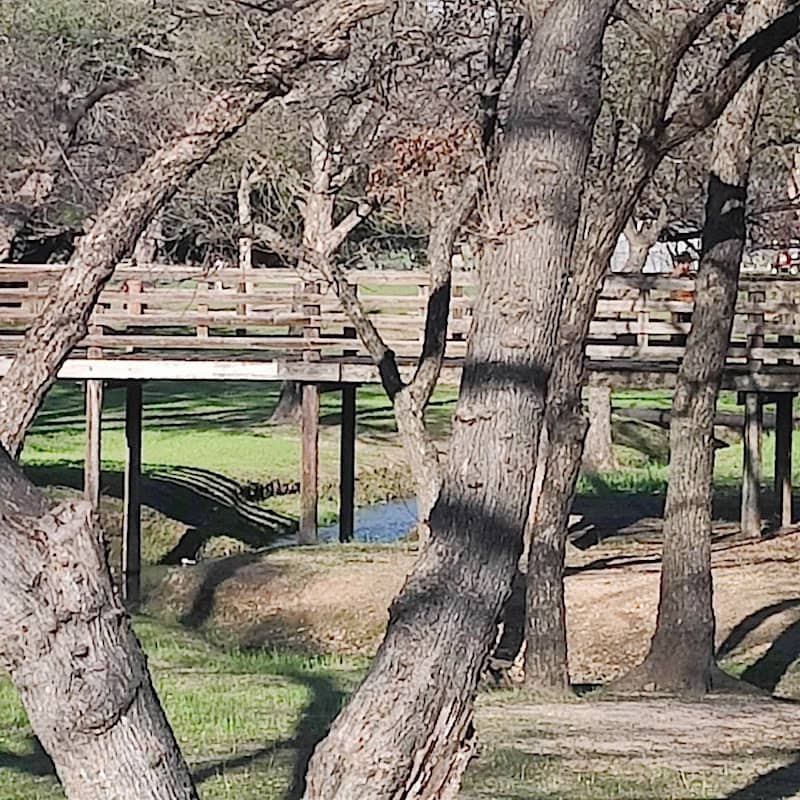 Granbury City Park - Image 3