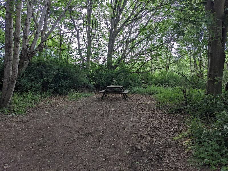 Woodhall Picnic Site - Image 1