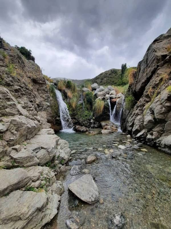 Merlo - San Luís - Torenza - Image 3
