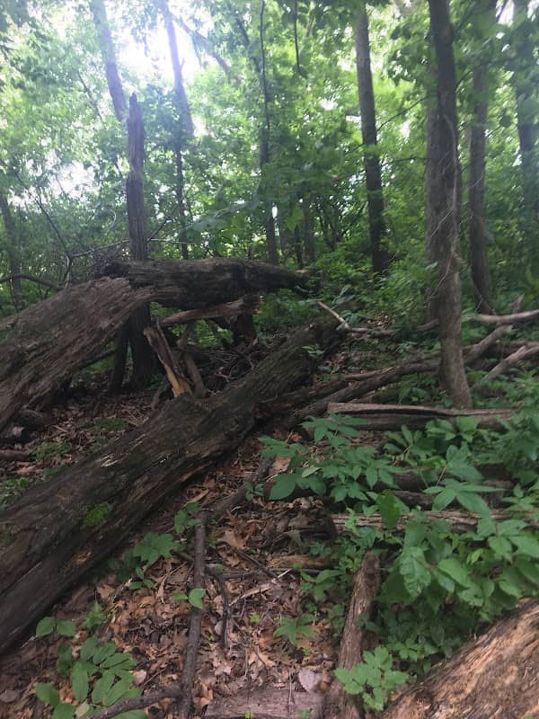 Maple Woods Park - Image 2