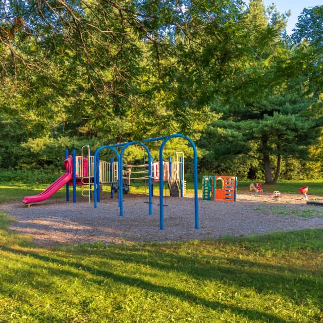 Parc Violettes - Image 1