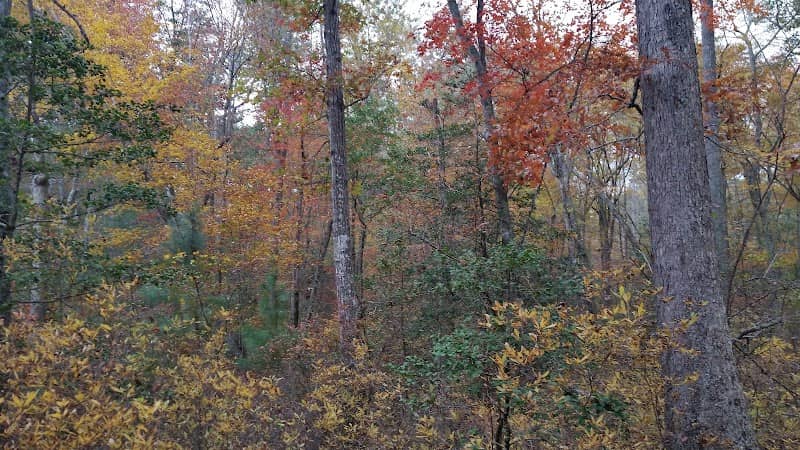 Romenick Field - Image 1
