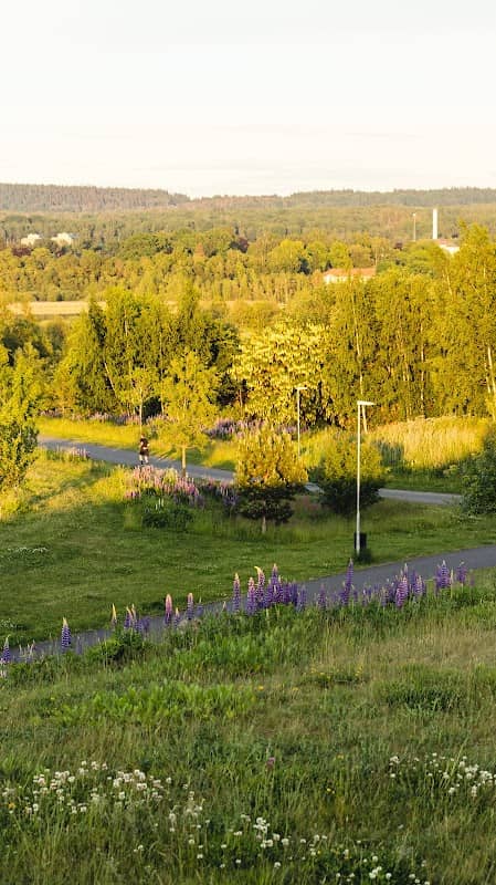 Vikingaskeppet - Image 1