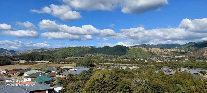 Ngatoto Trig Hill Reserve - Image 1