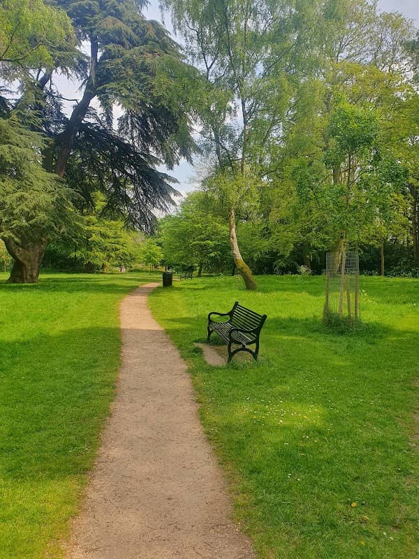 Bewdley Hill Wood - Image 2