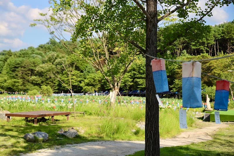 산새길목 - Image 2