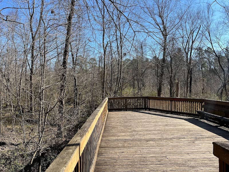 Nature Observation Deck - Image 2