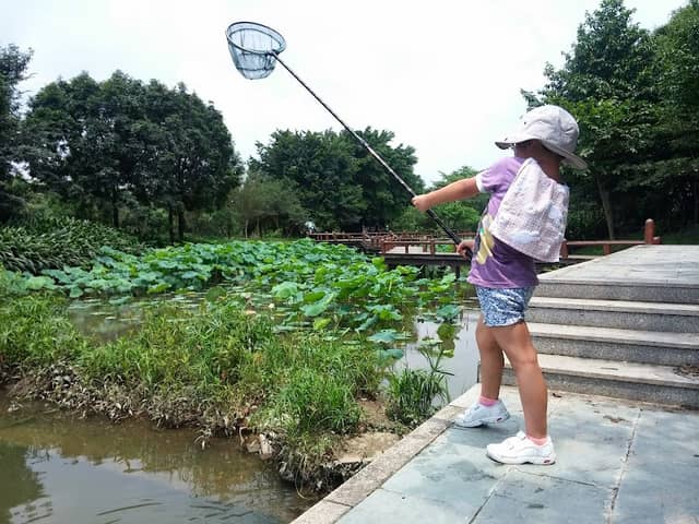 Dashahe Wetland - Image 1