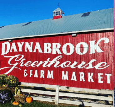 Daynabrook Greenhouse - Image 1
