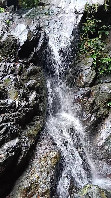 Puyog Hidden Falls - Image 1