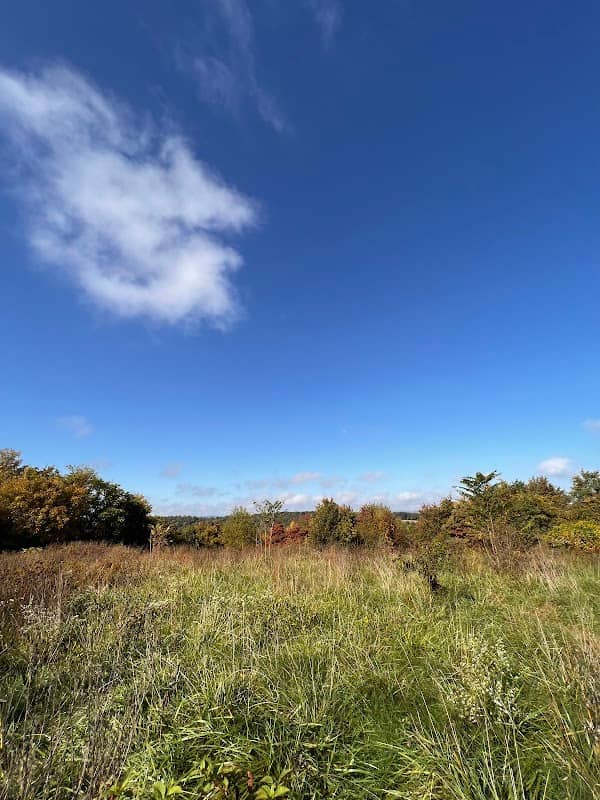 Monocacy Battlefield and Frederick Scenic View - Image 1