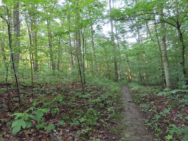Hitz-Rhodehamel Nature Preserve - Image 1