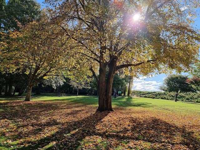 Naish Park - Image 1