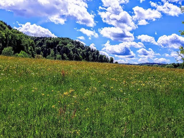 Rotkanal - Image 1