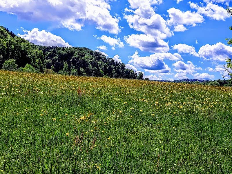 Rotkanal - Image 1