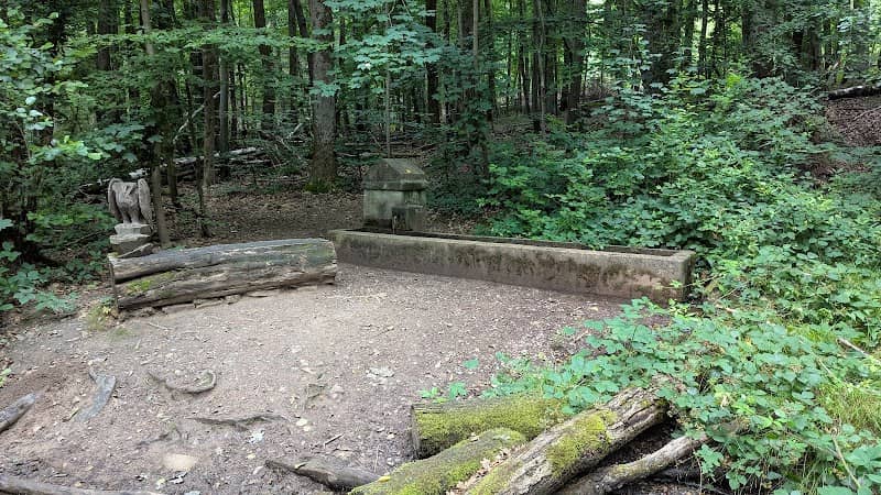Waldbrunnen - Image 1