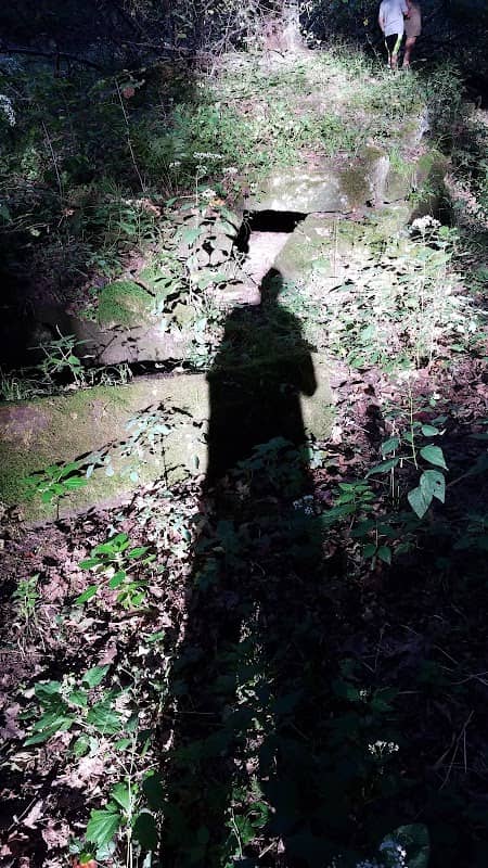 Reeds Mill - Image 1