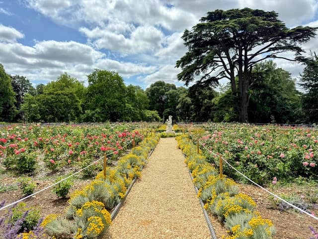 Rose Garden - Image 1