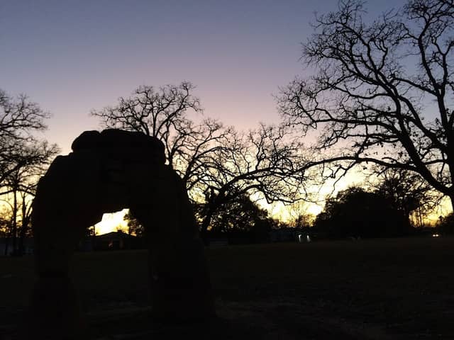 Crescent Park - Image 2