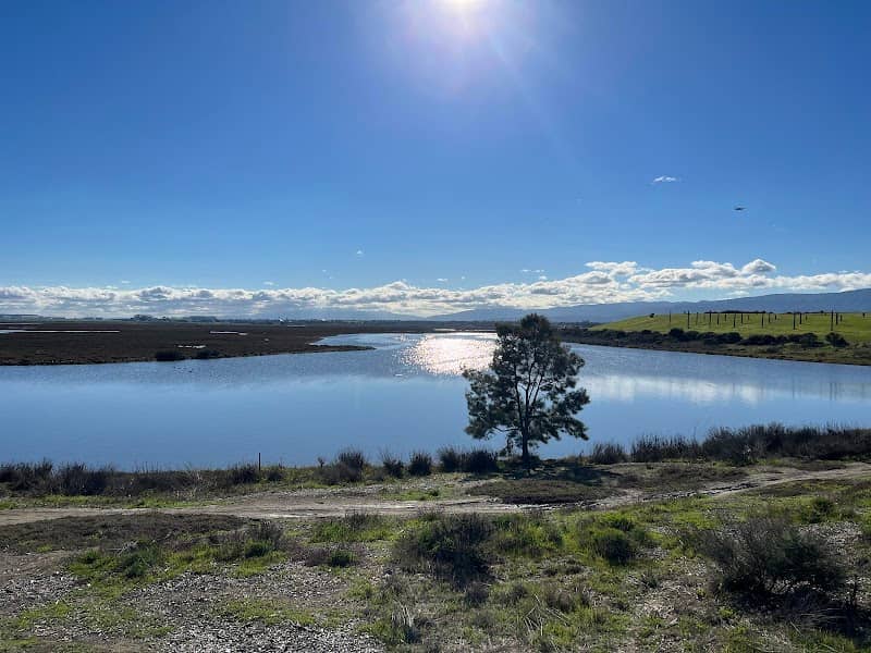 Byxbee Park - Image 1