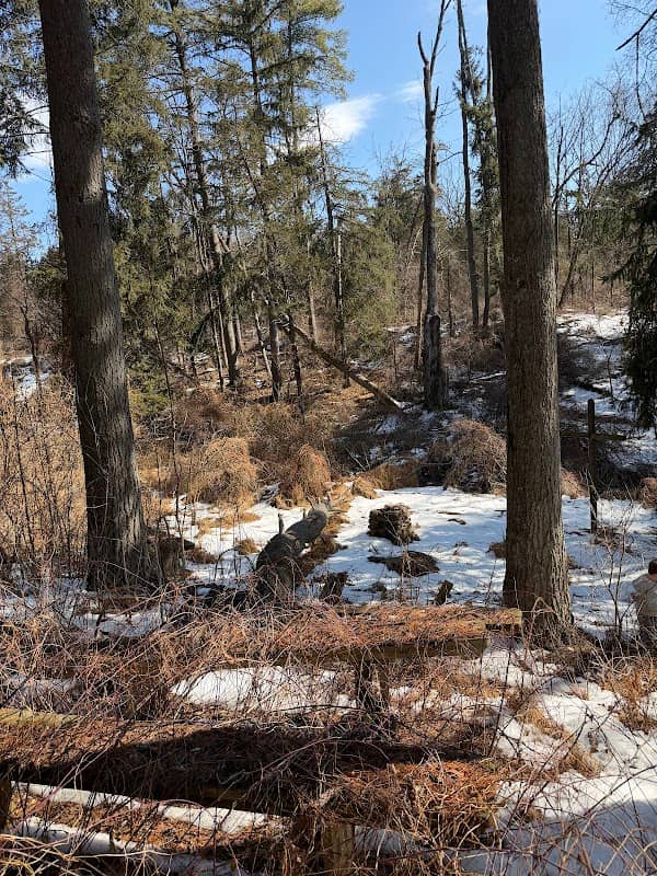 Horseshoe Bend Park East - Image 1