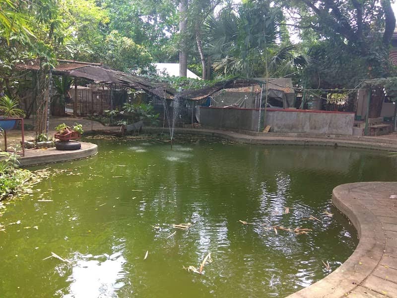 Archival's Eco-House - Image 2
