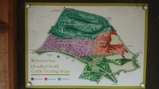 National Trust - Headley Heath - Image 1