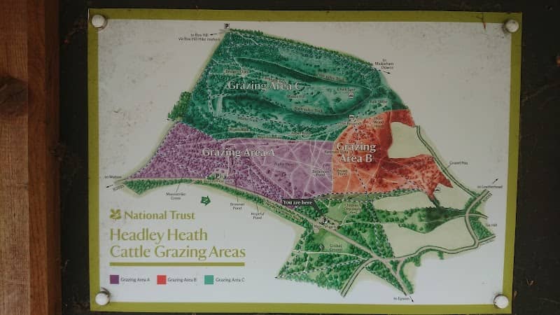 National Trust - Headley Heath - Image 1