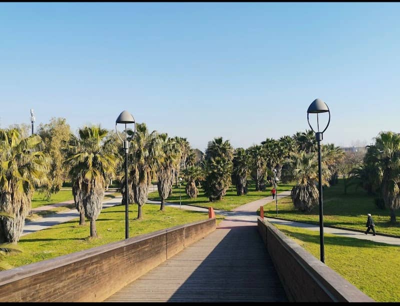 Villa Comunale di Cardito "Parco Taglia" - Image 2