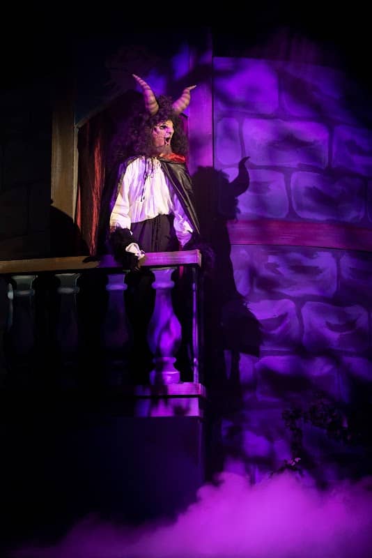 The Tiger Theatre - Image 3