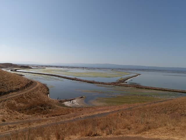 Coyote Hills Entry Kiosk - Image 2