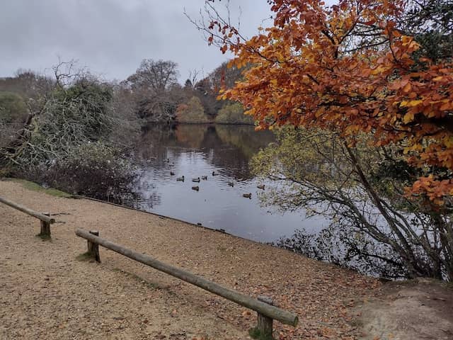 Eyeworth Pond - Image 2