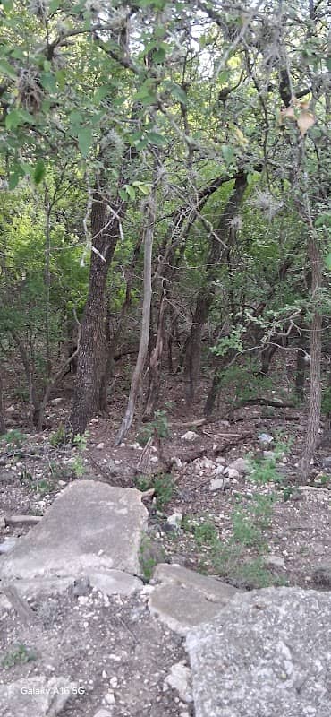 Lytle park - Image 2