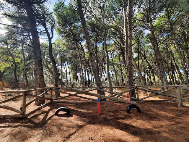 Calisthenics Park - Image 1