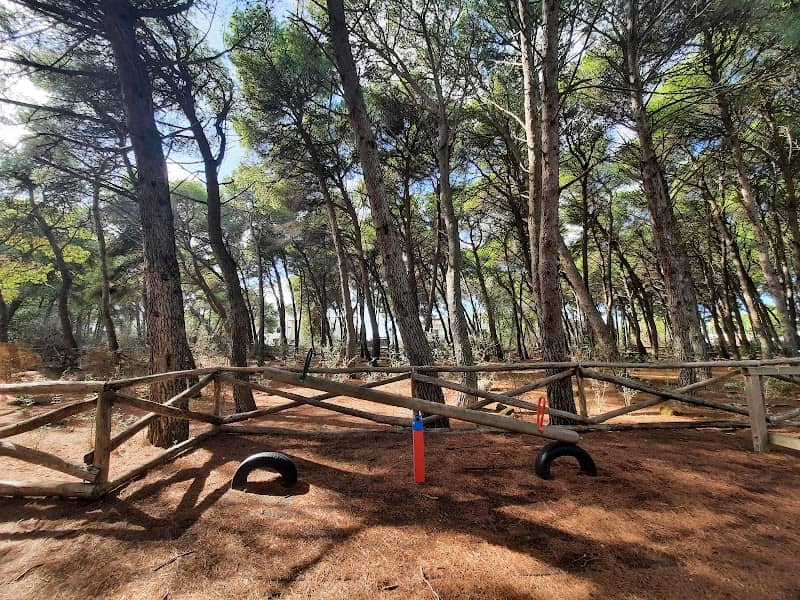 Calisthenics Park - Image 1