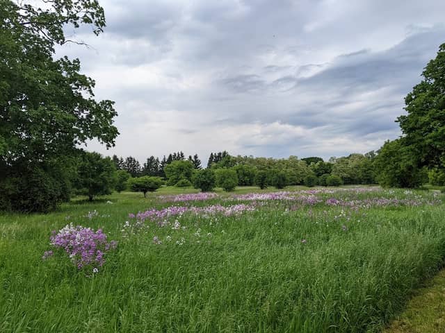 Kiwanis Dog Park - Image 1